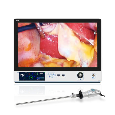 Buon prezzo LN-D27K. Sistema integrato di imaging chirurgico 4K con display da 27 pollici. in linea