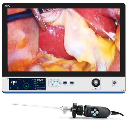 Bom preço Câmera de inspeção de luz 4k de 100W IPX8 4K Processador Câmera endoscópica com luz on-line