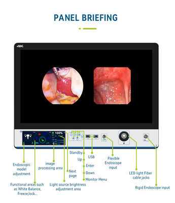 Goede prijs LN-DM27K Deluxe alles-in-één endoscopie systeem. 7,8 inch touchscreen. online