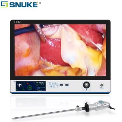 Guter Preis LN-DM27F 1080P Deluxe All-in-One Endoskopiesystem | 7,8 Zoll Touchscreen Online