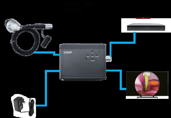 Guter Preis LN-23YL_2M Endoskopkamera 1080P 60FPS Portable Bildprozessor Online