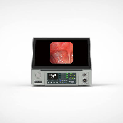 Goede prijs Accurate medische beeldvorming Flexible Endoscopie Camera Intelligente Oor Endoscopie 330mm online
