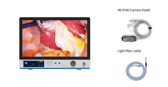 Bon prix LN-D27K Système de caméra d'endoscopie 4K Une solution d'imagerie médicale tout en un en ligne