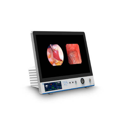 Bon prix Station de travail d'endoscopie HD 1080P 60FPS LED à lumière froide Caméra d'endoscopie portable en ligne