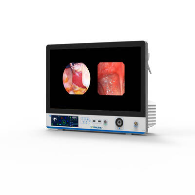 Goede prijs LN-DM27F Medisch Endoscopie Systeem 1080p HD met SONY CMOS & Vascular Enhancement online