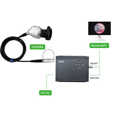 Buen precio Procesador de imagen médica LN-23YL_2M Plataforma compacta de doble salida HD en línea