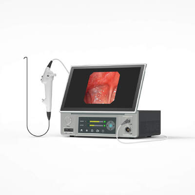 Guter Preis HDMI DVI Flexible Borescope Kamera Endoskop Schlange Kamera 2 TB Online