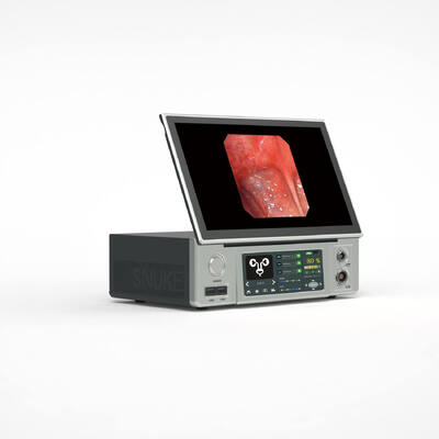 Buon prezzo Fotocamera endoscopica completamente integrata flessibile da 13,3 pollici in linea