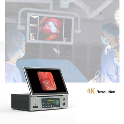 Bon prix 1080P 60FPS Endoscope numérique flexible avec 330mm Longueur 215mm Largeur 110mm Hauteur Parfait pour le contrôle et le diagnostic de l'équipement en ligne