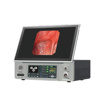 Bon prix Caméra endoscopique flexible 720P à 60 FPS avec résolution Full HD 1080p et dimensions physiques compactes 330 mm L X 215 mm L X 110 mm H en ligne